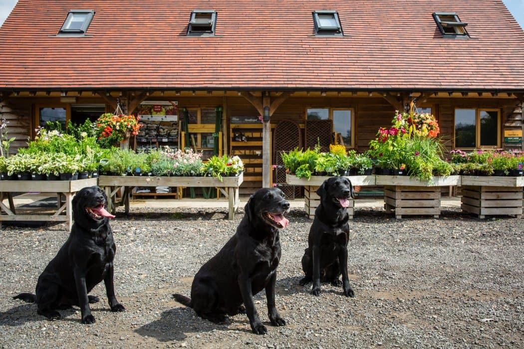 Wheatley Farm Shop