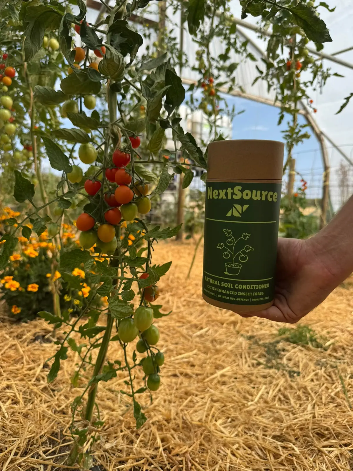 NextSource frass 200g with tomatoes